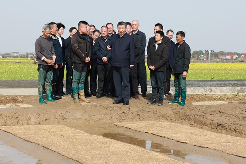 重拳出击！泉港涂岭镇为您守护碧水清流……