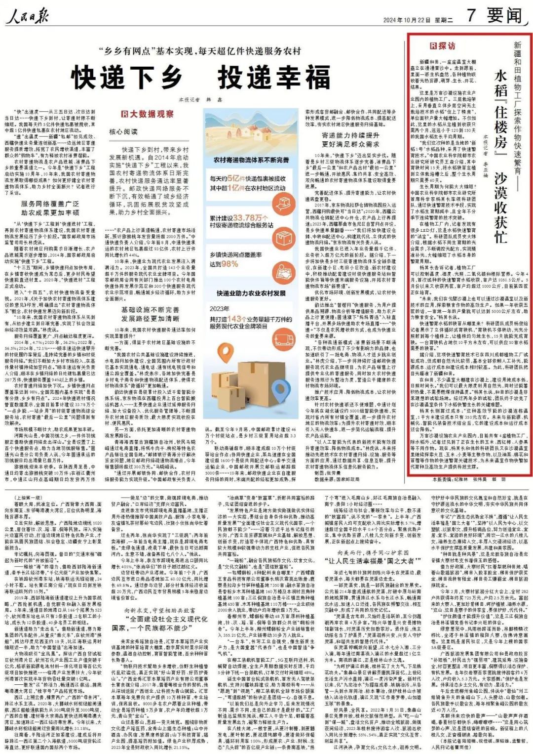 你没听错,新疆和田沙漠里种出了水稻!