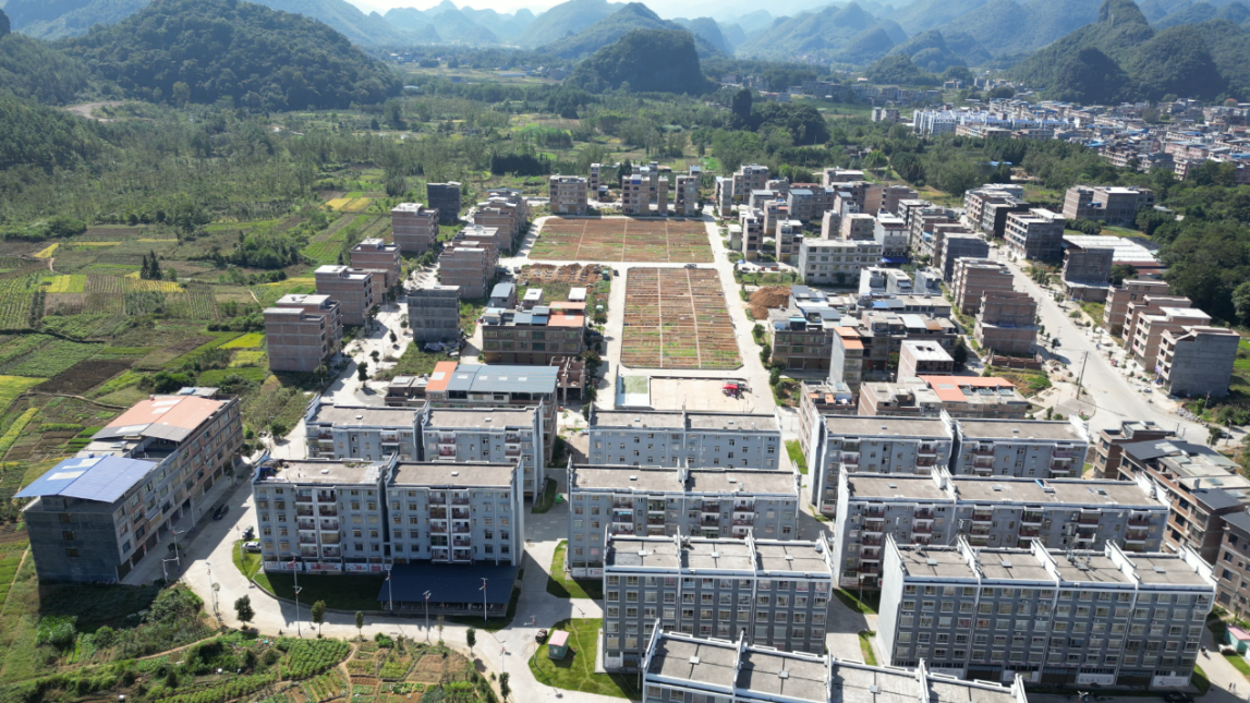 大圩镇易地搬迁安置点的微菜园 （蓝玉春/摄）