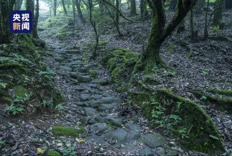 哀牢山茶马古道是历史上云南三条大通道之一，来源于央视新闻