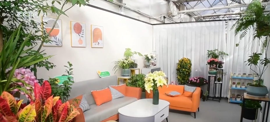 节日市场红红火火，文化味、年味儿……好一幅人间烟火气的“年俗画”