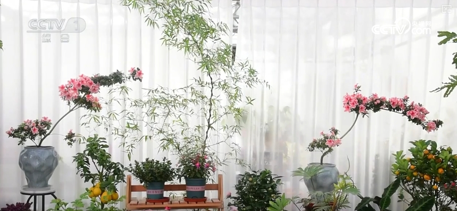 节日市场红红火火，文化味、年味儿……好一幅人间烟火气的“年俗画”