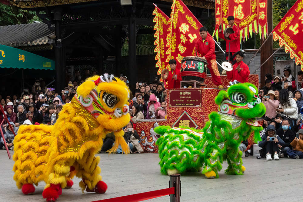 圖為廣東省佛山市祖廟的醒獅表演。