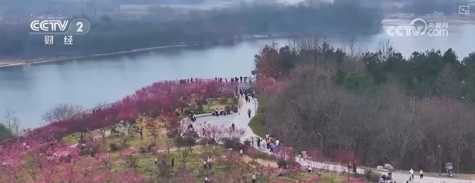 创新服务提升消费体验 解锁“美丽经济”百变打开方式