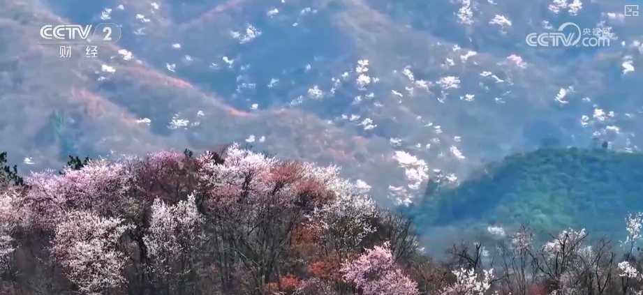 创新服务提升消费体验 解锁“美丽经济”百变打开方式