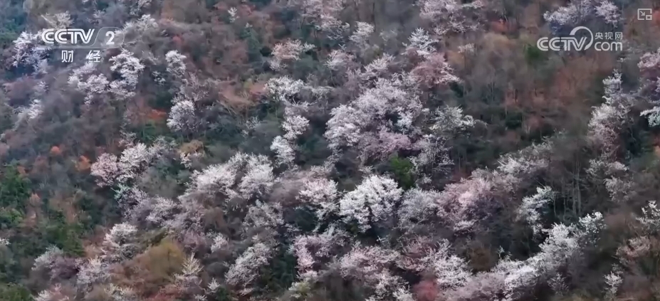 创新服务提升消费体验 解锁“美丽经济”百变打开方式