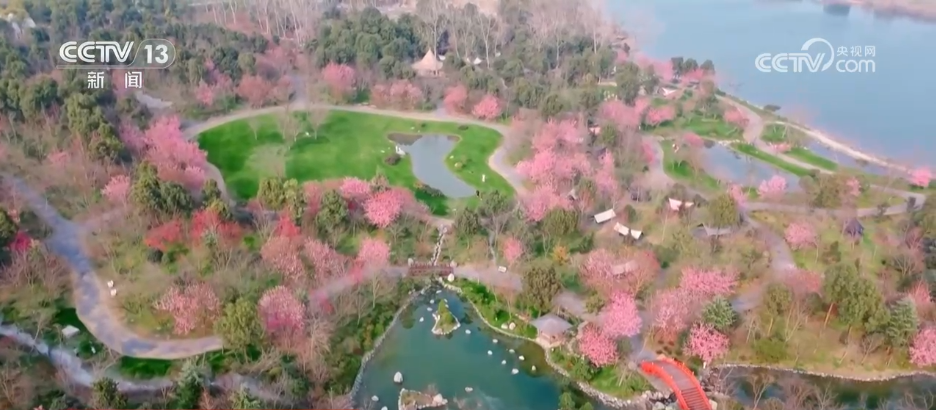 春风吹热“花经济” 农文旅融合为乡村振兴“增色添香”