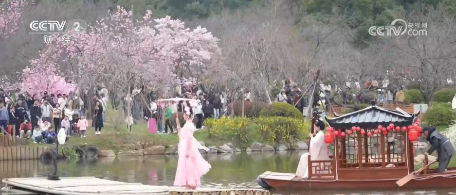各地掀起赏花热潮 “花经济”在春日中盛开