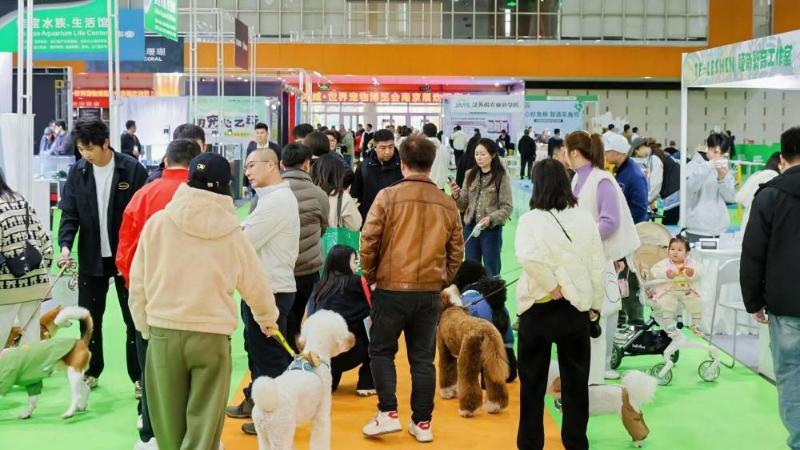 展会现场 摄影 博轩