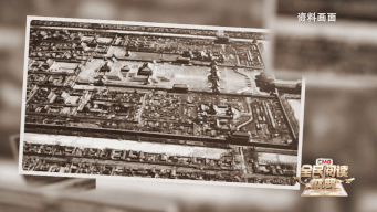 书页间的万种人生