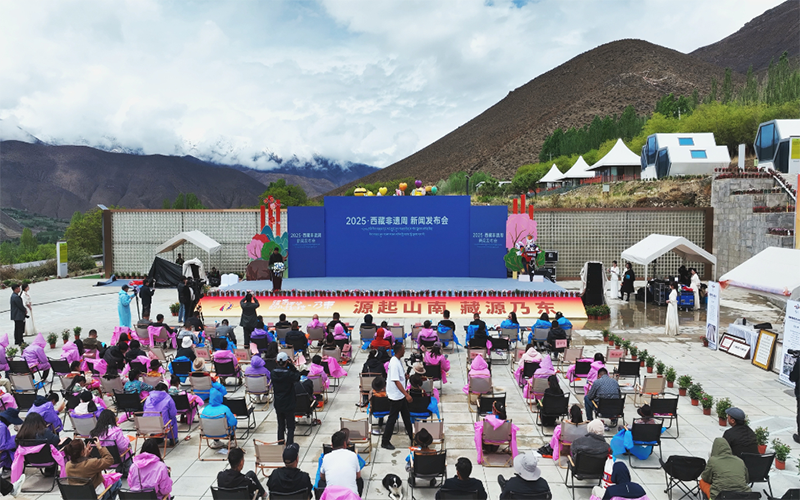 图为新闻发布会现场。（受访者供图）