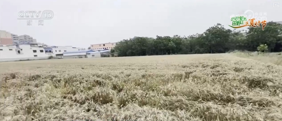 各線城市房價(jià)同比降幅今年以來首次均收窄