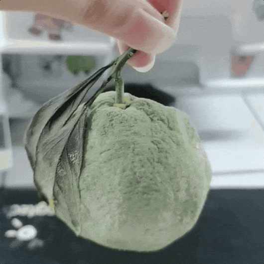 國家衛健委：正在會同教育部對北京協和醫學院“4+4”試點進行全面評估，督促改革完善