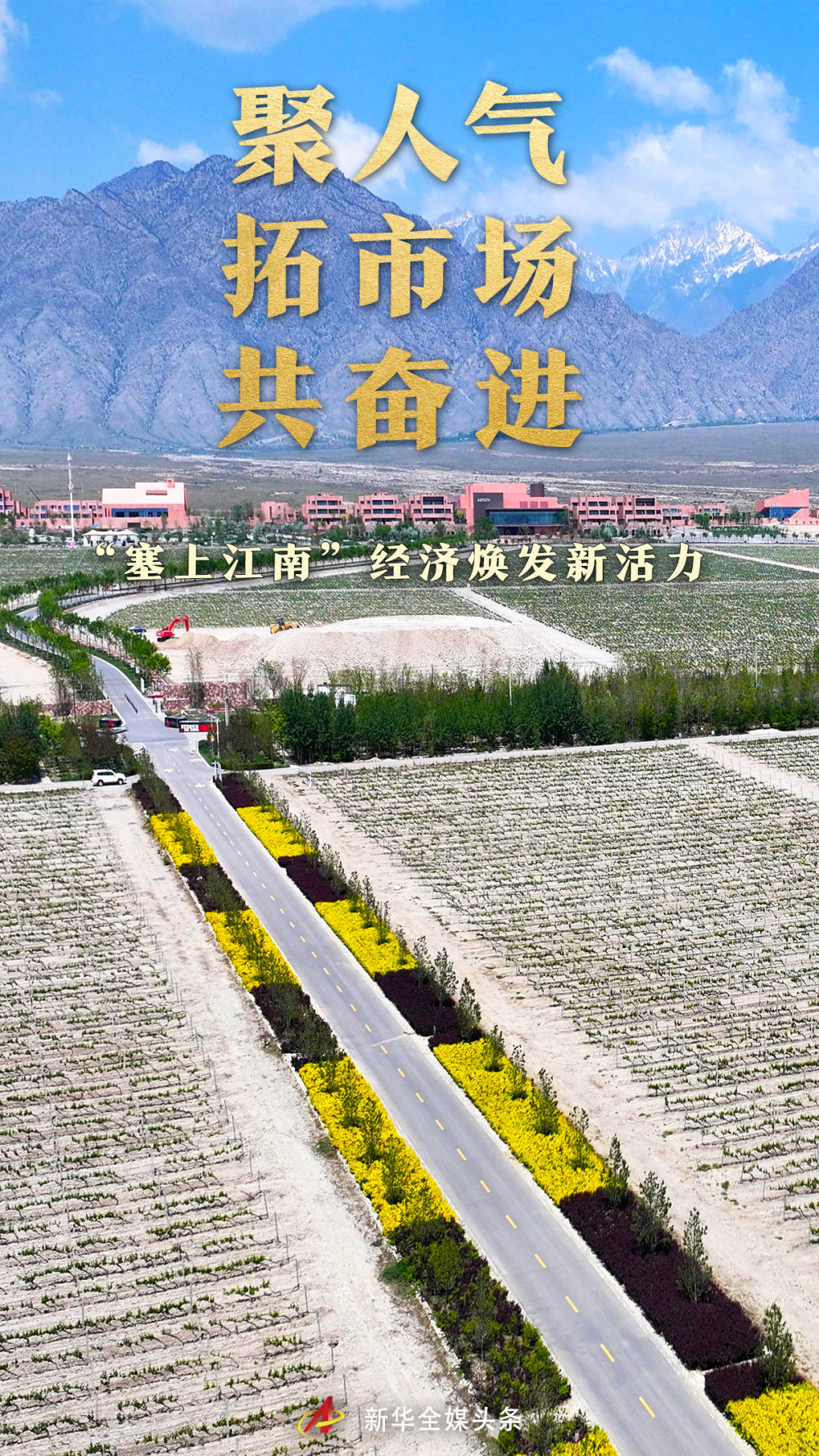 聚人气 拓市场 共奋进——“塞上江南”经济焕发新活力  第1张