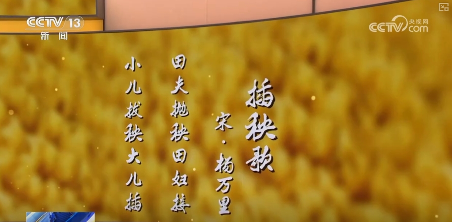 风吹麦成浪 静待稻花香 | 95秒聆听诗词中的芒种  第2张