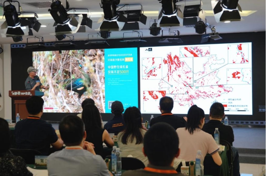 著名野生动物摄影师、“野性中国”工作室创始人奚志农