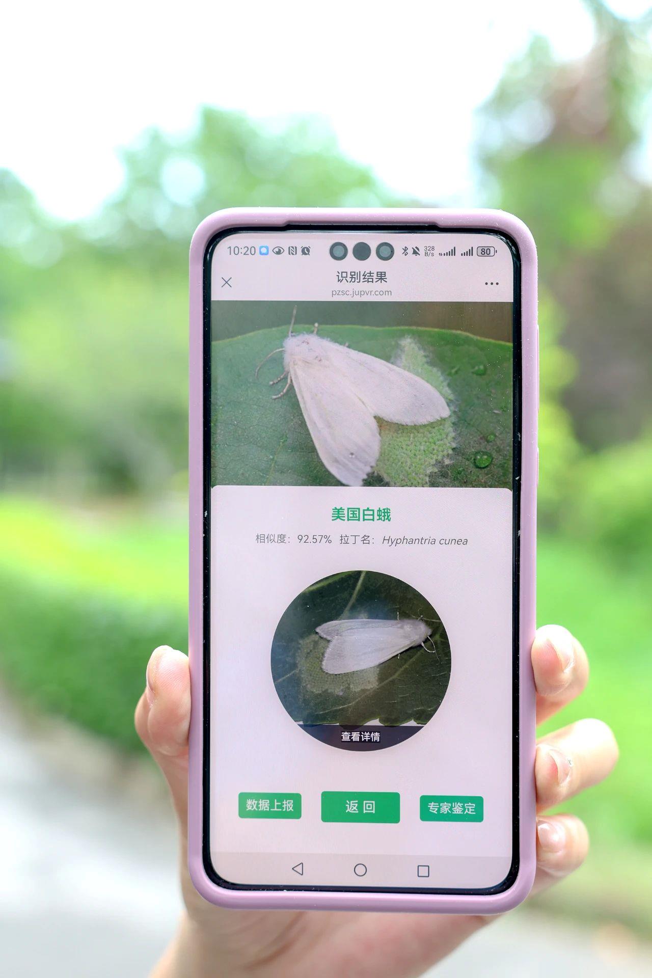 北京市园林绿化局推出&ldquo;拍照识虫&rdquo;小程序2.0版本