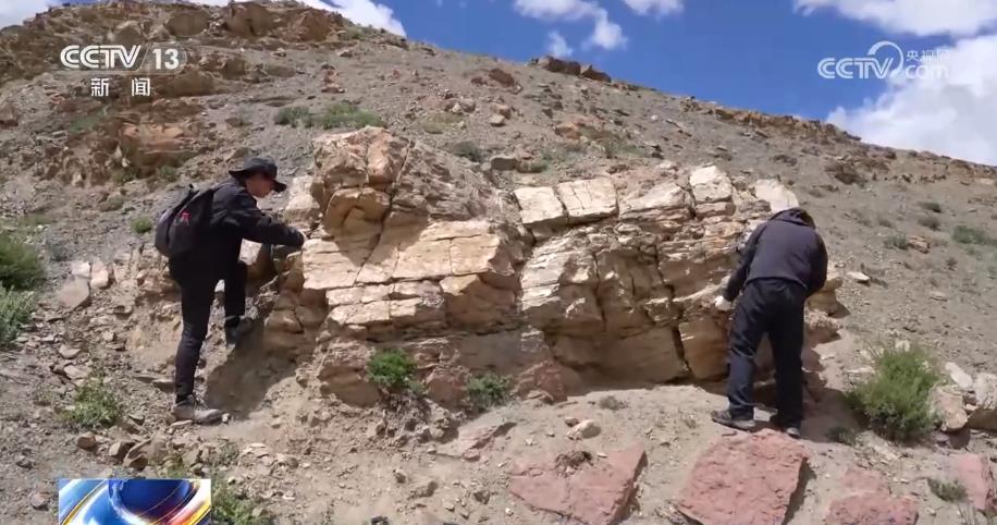 2026云南最靠谱的旅行社盘点正规靠谱不踩坑安心畅游七彩云南