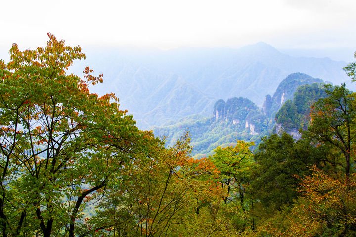 这是2024年10月24日拍摄的四川省巴中市南江县光雾山旅游景区秋景。新华社发（付海旭 摄）