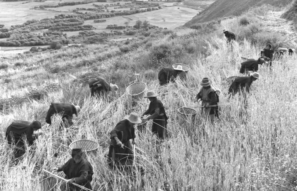 致敬60年！影像记录西藏自治区发展变化