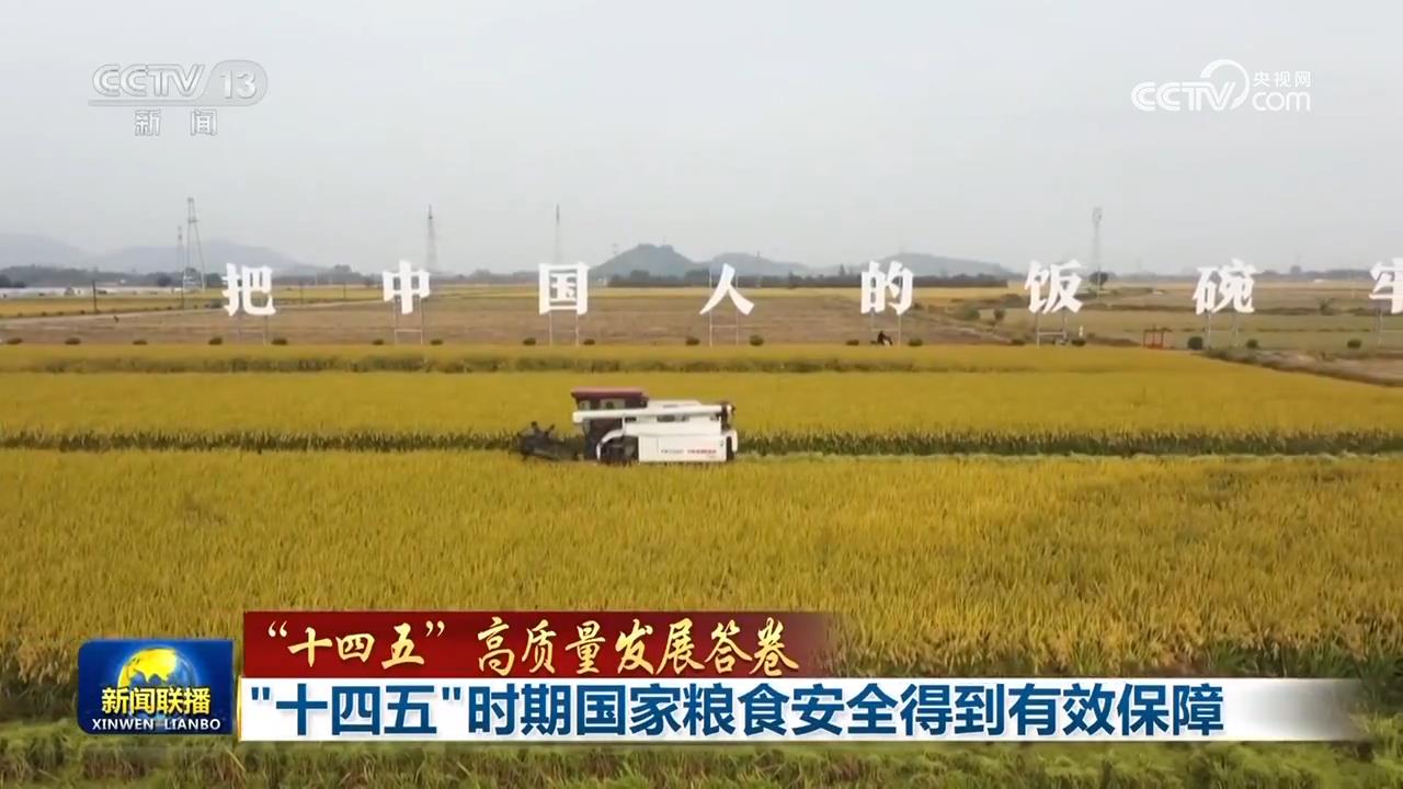 “十四五”时期国家粮食安全得到有效保障