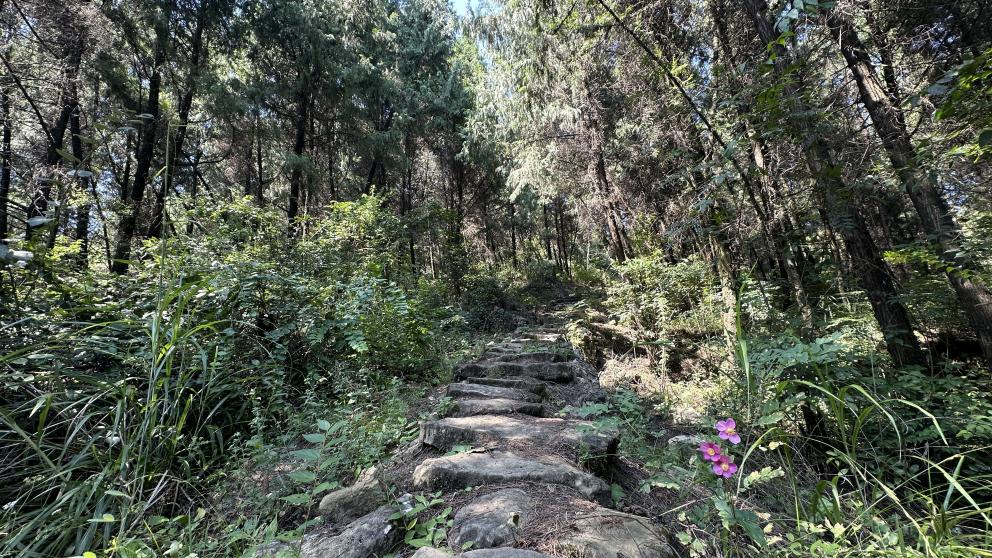 赛事赛道（垫江县宣传部供图）