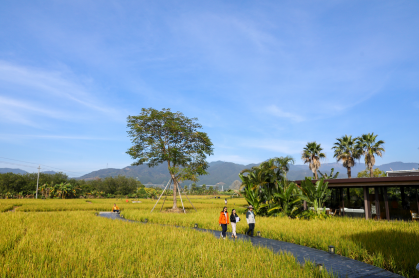 清远市清新区三坑镇“三禾·稻里”民宿区
