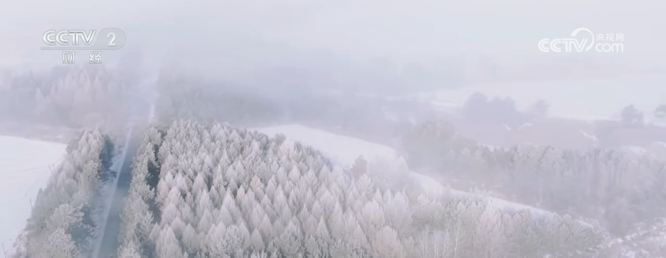 各地积极应对低温天气 各部门多措并举保民生保生产