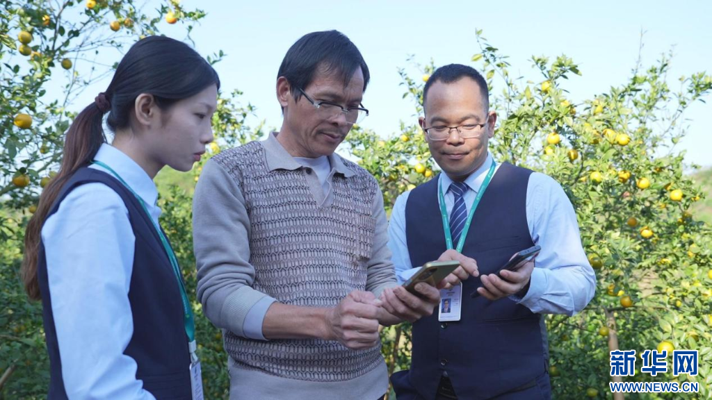 邮储银行人员指导农户操作使用手机APP办理银行业务。新华网 伍嘉炜 摄
