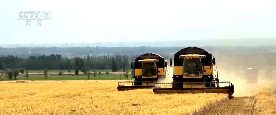 1.4万亿斤，创新高！“大国粮仓”高位增