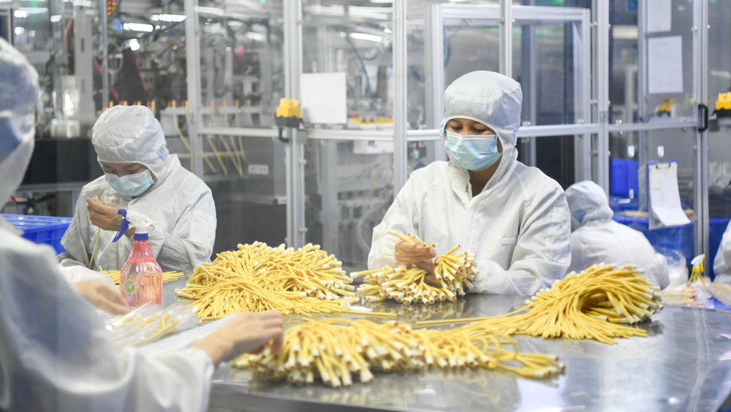 工作人员在海南维力医疗科技开发有限公司生产车间里工作(2025年5月21日摄)。新华社记者 杨冠宇 摄