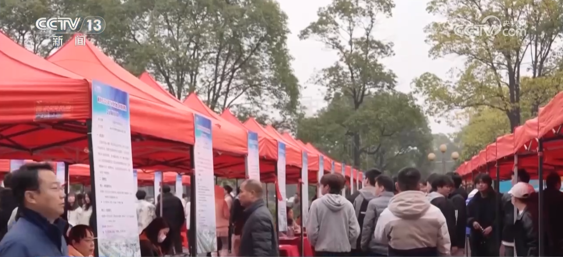 2.1万场、53.7万家，护航青年就业！2025年“秋招”提供岗位超千万个