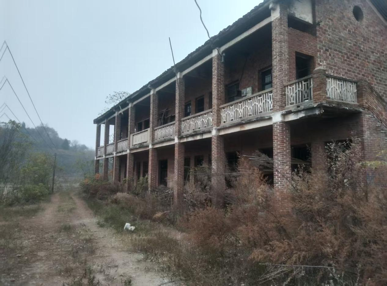 2017年文昌村的老村部杂草丛