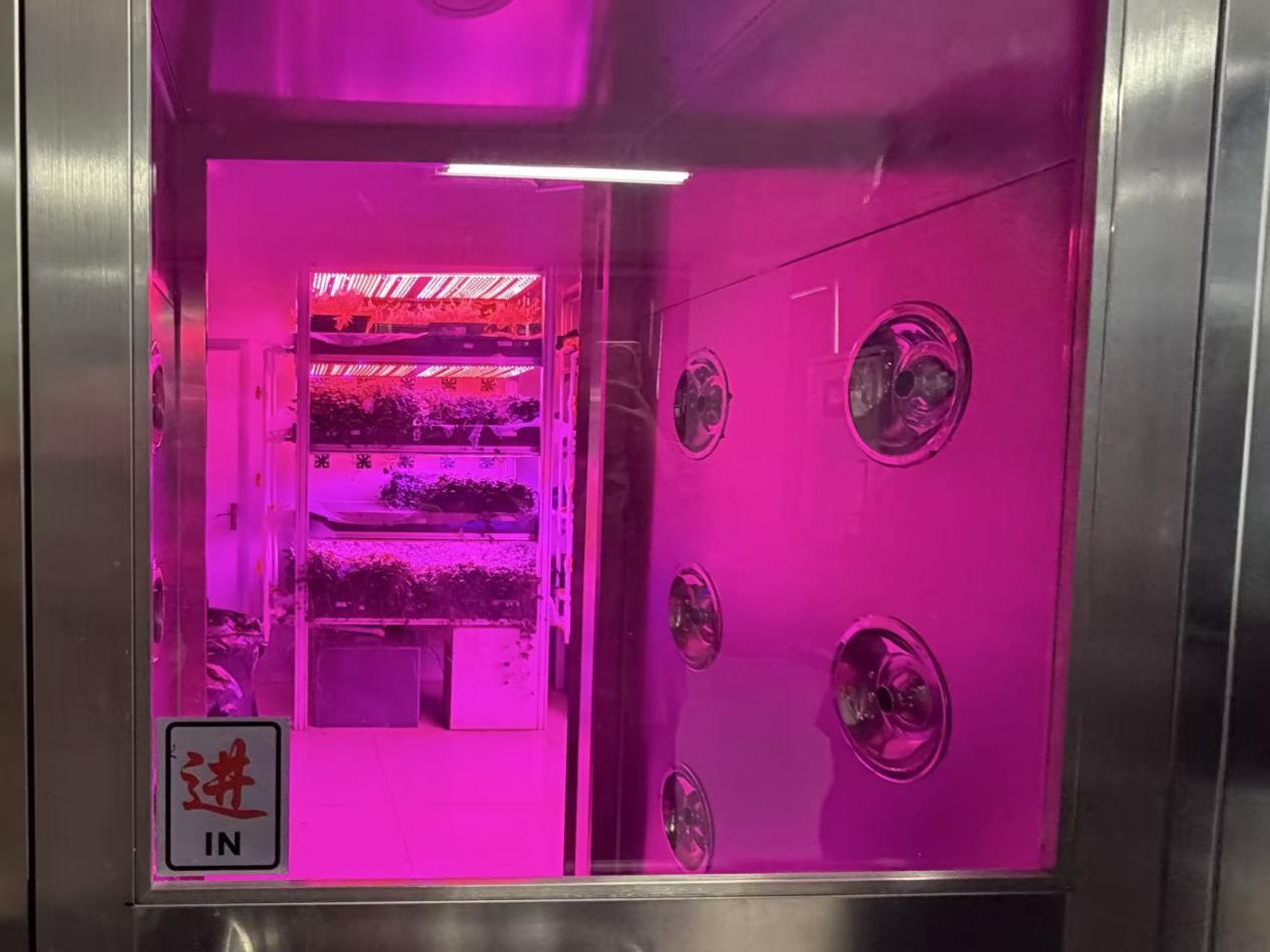 广西药用植物园的植物工厂，依靠人工光源即可进行植物栽培