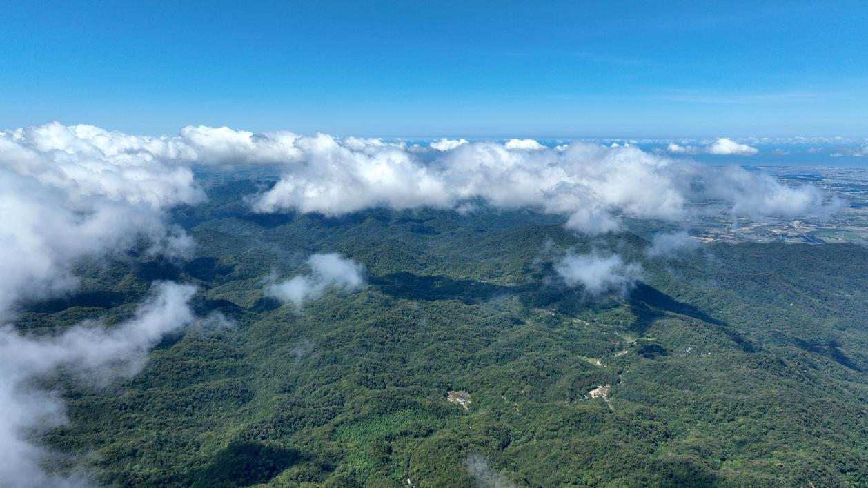 海南全面推行用地用林用海联合审批 加速项目落地 - 第1张 - 自贸港在线 海南全面推行用地用林用海联合审批 加速项目落地 - 第1张