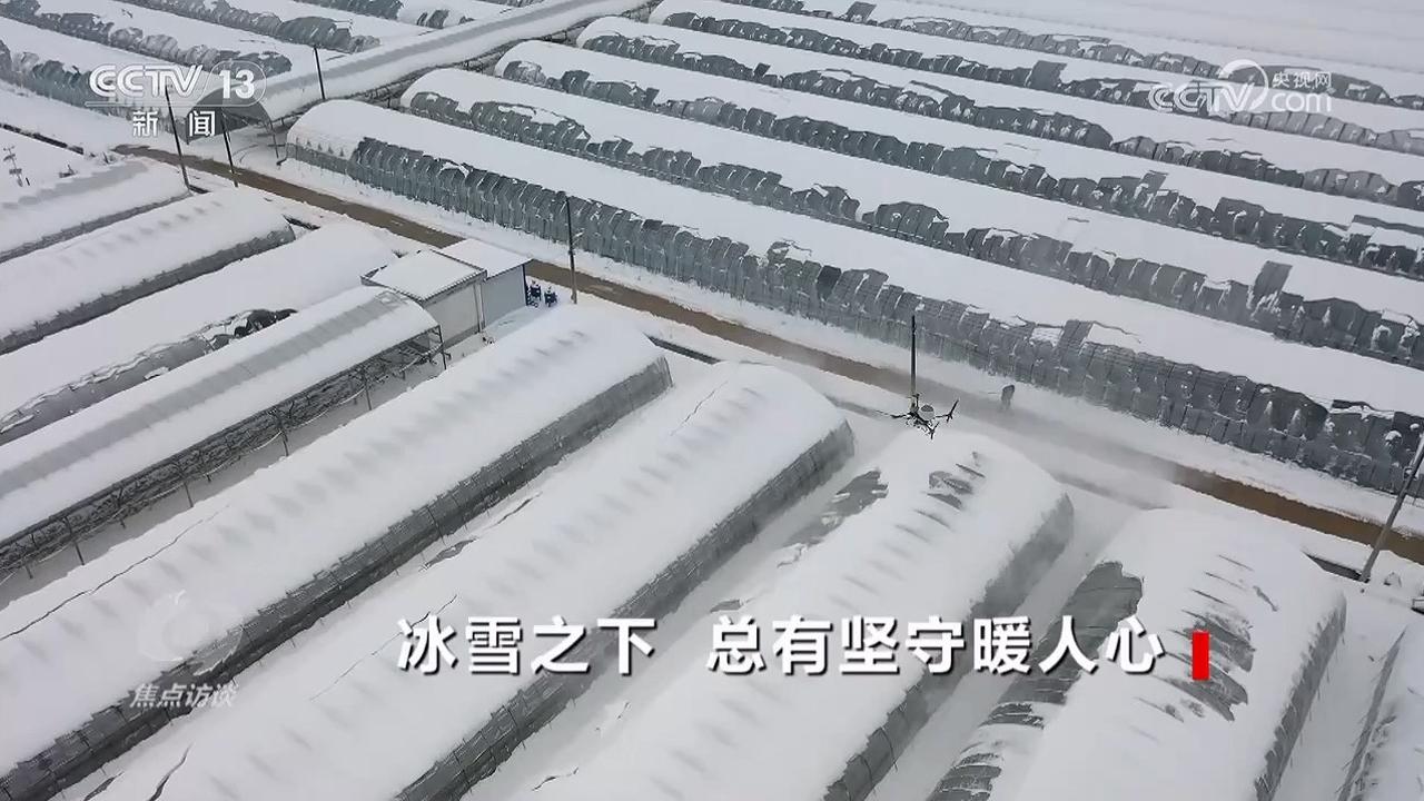 坚守“菜篮子”“暖屋子” 寒潮下的民生保障暖人心