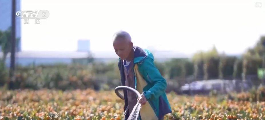 百年大集出圈圈粉海外游客 特色年货走俏“小而美”创新品类拓宽消费新场景