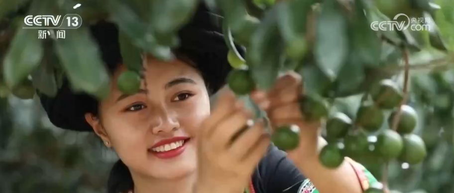 节前消费“新意”满满 “传统年货+现代科技”让年的味道更丰富