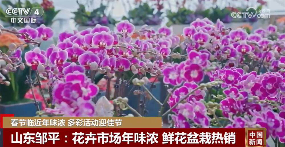 各地大街小巷张灯结彩处处洋溢节日喜庆氛围 欢欢喜喜过大年