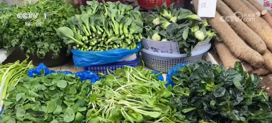 “赏花+文化+休闲”多元场景不断“上新” “春日经济”释放消费新活力