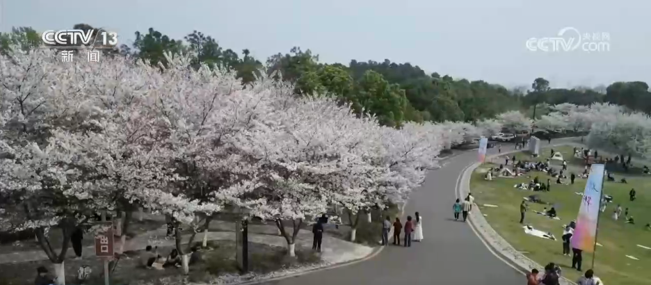 门票有优惠、交通有保障 缤纷文旅活动“点亮”假期 激活春日消费市场