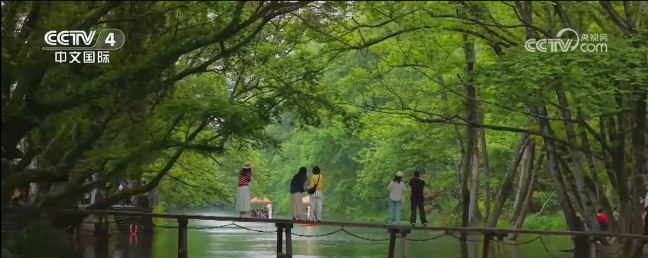 N种文旅玩法“解锁”五一假期多巴胺 哪种方式最得你心？