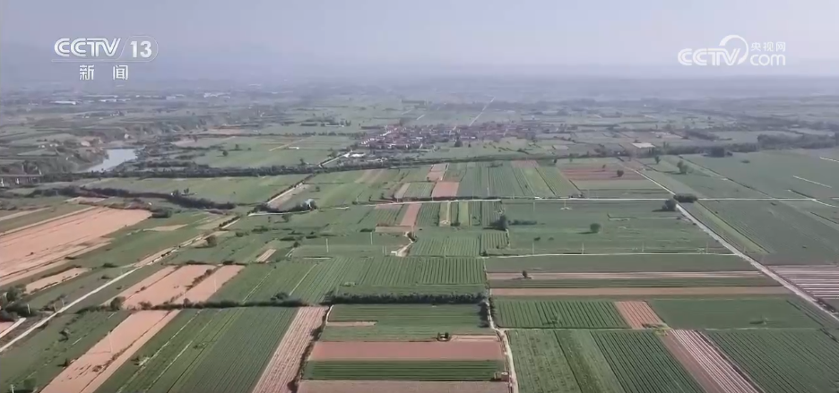 各地全面推进“一喷三防”统防统治 筑牢希望的田野丰收根基