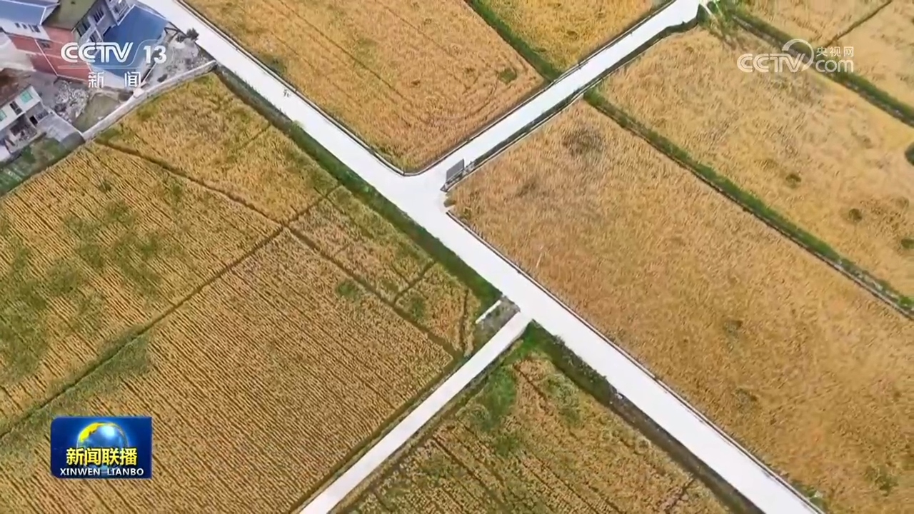 夏粮旺季收购即将启动 预计收购小麦1亿吨左右