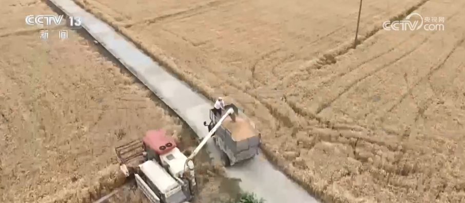 粮食“进得来、存得住” 守住农民种粮底线全力保障夏粮颗粒归仓