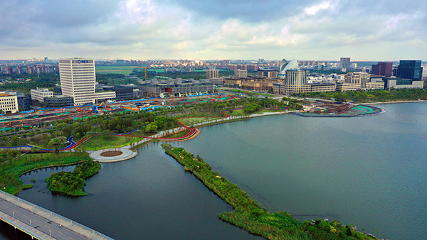 上海自贸区2019年GDP_2019年中国gdp增长率