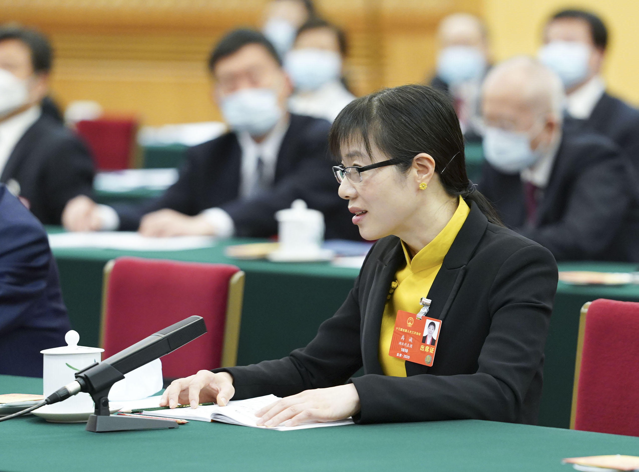 2020年5月24日，全国人大代表禹诚参加湖北代表团的审议并发言。